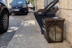 Emergenza rifiuti, Psi Bitonto: «Il governo cittadino faccia pagare di più chi sporca»