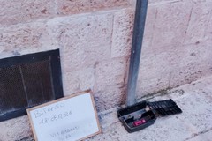 Derattizzazione, partiti a Bitonto controlli e monitoraggi sulle cassette antitopi