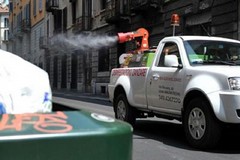 Tra lunedì e martedì a Bitonto disinfestazione contro zanzare e insetti alati