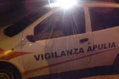 Suona l'allarme in una villa sulla Mariotto-Terlizzi: ladri in fuga a mani vuote