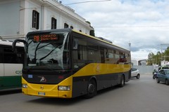 Processione Desolata Bitonto, deviazioni per i bus di Ferrotramviaria