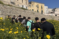 Fare Verde Bitonto apre il Parco di Lama Balice agli studenti del "Volta-De Gemmis"