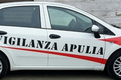 S'introducono in una villa, ma scatta l'allarme: ladri in fuga a Mariotto