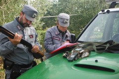 Caccia con mezzi illeciti nelle campagne di Bitonto: denunciati 3 campani