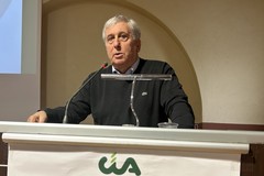 Sicolo (CIA Puglia): “Agricoltura in crisi, costi di produzione alle stelle per la guerra”