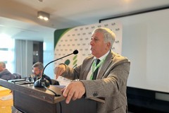 Piano Olivicolo Nazionale, Sicolo: «Obiettivi e strategie per i prossimi dieci anni»