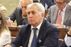 Crisi dell’olio, Sicolo al tavolo nazionale: “Subito piano straordinario in 5 punti”