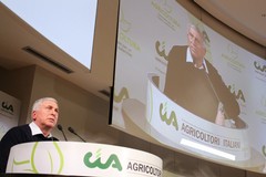 Sicolo, Cia Puglia: «Rialzo dei tassi strozza le aziende agricole pugliesi»