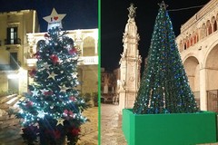 Due alberi di Natale nelle piazze di Bitonto donati dai commercianti
