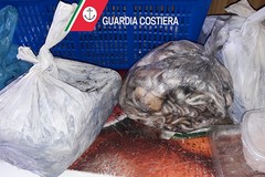 Al setaccio la filiera della pesca: 7 quintali di merce sequestrata