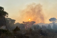 100mila euro da Regione a Comune di Bitonto per contrastare gli incendi nei boschi