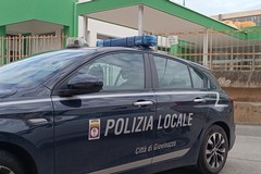 Da Bitonto per rubare in una scuola: arrestato ladro in trasferta