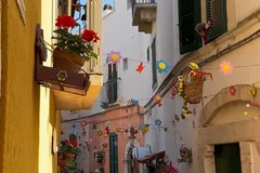 "La mia strada in fiore": vince via del Sasso