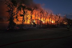 Vasto incendio a Terlizzi: l'appello del sindaco di Bitonto