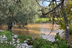 Bitonto, l'acqua si ritira tra Palombaio e Mariotto: si contano i danni - FOTO