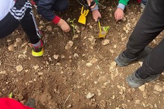 "Impariamo a mangiare sano": 500 bambini a Lama Balice