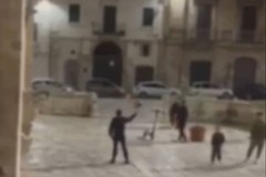 Vandalismo contro la Cattedrale e sull'obelisco: la condanna del sindaco di Bitonto