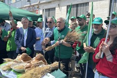 Grano, il bitontino Gennaro Sicolo ha guidato la protesta degli agricoltori a Bari
