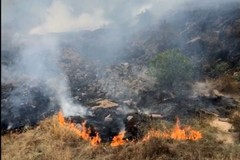 Al via anche a Bitonto l'annuale campagna contro gli incendi boschivi