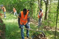 Via libera a 40mila lavoratori stranieri stagionali per agricoltura e turismo