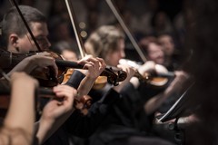 Domani l’Orchestra sinfonica Metropolitana in concerto nella chiesa di San Gaetano