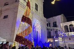 L'albero di Natale illumina piazza Cavour