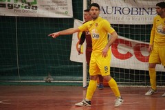 Futsal Bitonto, esperienza e qualità per mister Lodispoto: arriva Primavera
