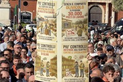 Orgoglio Olivicolo: «Chiediamo a Ministro dell’Agricoltura immediata attuazione del DAO»