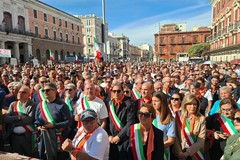 Ecco da dove arriva l'olio che sta rovinando gli olivicoltori di Bitonto - VIDEO