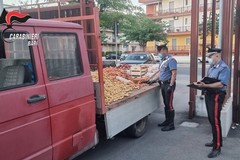 Abusivi, sanzioni per oltre 5mila euro a un ambulante di Bitonto