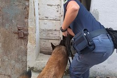 White hash, l'hashish bianco arriva a Bitonto: arrestato un 25enne