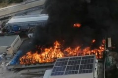 Fare Verde Bitonto: «L'incendio di Palo più grande disastro ambientale della nostra città»