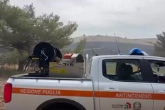Incendio Parco Alta Murgia, il sindaco di Bitonto monitora la situazione - VIDEO
