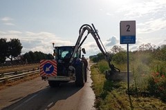 Lotta alla Xylella, proseguono gli interventi di sfalcio e le misure fitosanitarie lungo la rete stradale metropolitana