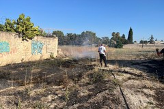 Incendio di sterpaglie in via Togliatti. Interviene la Polizia locale