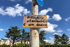 Bitonto partecipa alla Settimana della Biodiversità Pugliese 2025