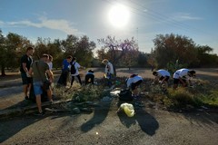 World Cleanup day, a Bitonto raccolti oltre venti sacchi di rifiuti dai volontari
