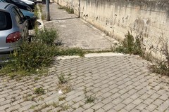 Zona 167, Natilla attacca l’amministrazione: «Mercato tra erbacce e muri fatiscenti»