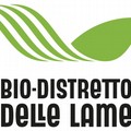 Il bio-distretto delle lame alla 85esima Fiera del Levante