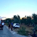 Incidente mortale tra Bitonto e Palombaio: perde la vita un uomo