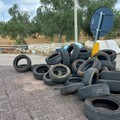 Cimitero di pneumatici e rifiuti sulla sp 231 in territorio di Bitonto (FOTO e VIDEO)