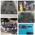 Gli alunni della  "Caiati " di Bitonto piantano il futuro