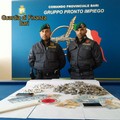 Blitz della Gdf: 2 arresti nella zona 167 di Bitonto