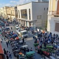 Protesta olivicoltori: ecco le 10 richieste pressanti a Regione e Governo