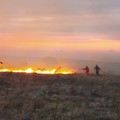 Incendio Bosco Rogadeo domato, la gratitudine del Sindaco di Bitonto