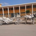 Carrozza e cavalli per la prima comunione a Bitonto