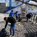 Fare Verde: torna il Mare d'Inverno