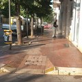 Lavaggio e diserbo strade: le FOTO dell'intervento SANB a Bitonto