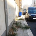 Diserbo strade, continua il lavoro della Sanb a Bitonto