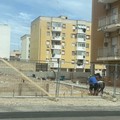 Parco pubblico in zona 167, Natilla: «Dopo esposto all'ANAC, ripartiti i lavori»